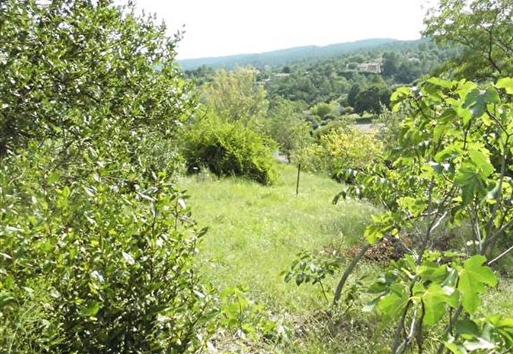 achat terrain Coucouron
